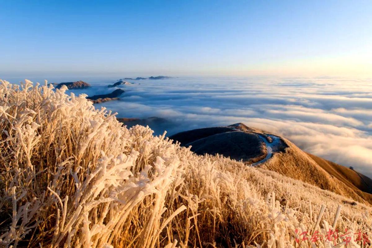 萍鄉(xiāng)武功山：霧凇云海，銀裝素裹